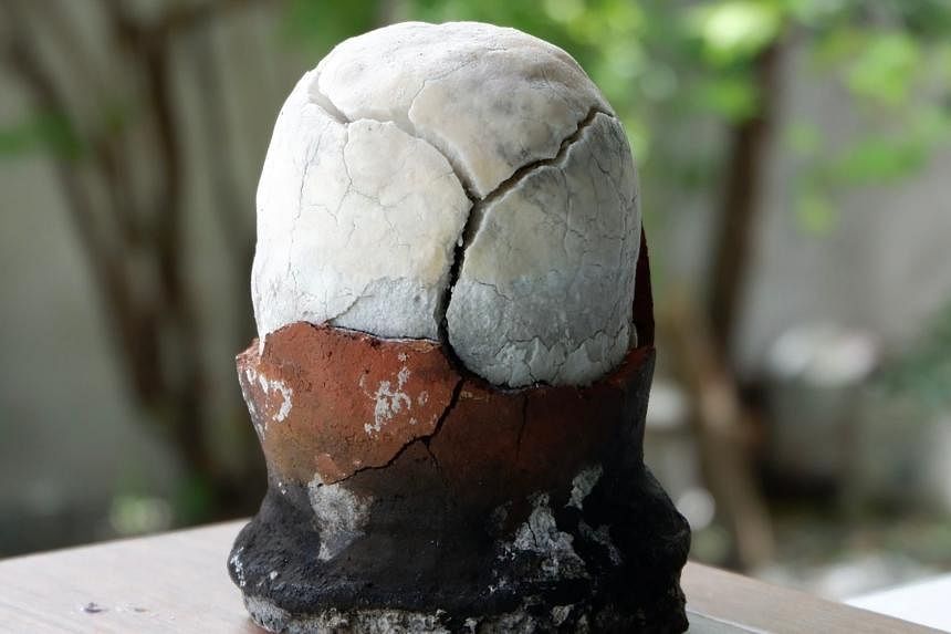 philippine-s-dinosaur-egg-what-is-asin-tibuok-and-why-is-it-trending