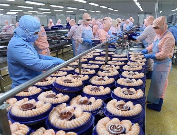 Big numbers in 2023 but challenges remain for Vietnam's aquaculture exports: official - Vimarsana News