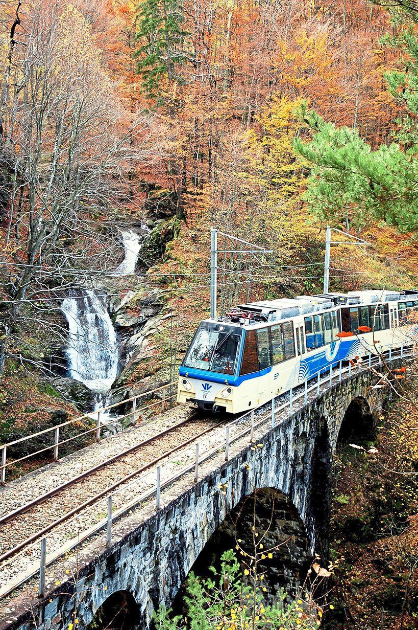 The Centovalli trains pass forests with spectacular colours during autumn Swiss Rail System