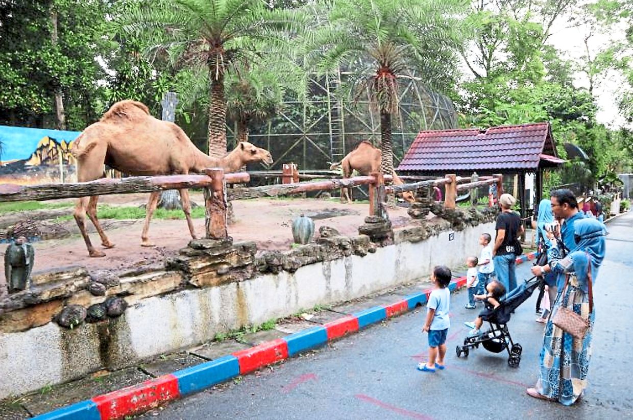 Improve access for travels to inner Johor The Star