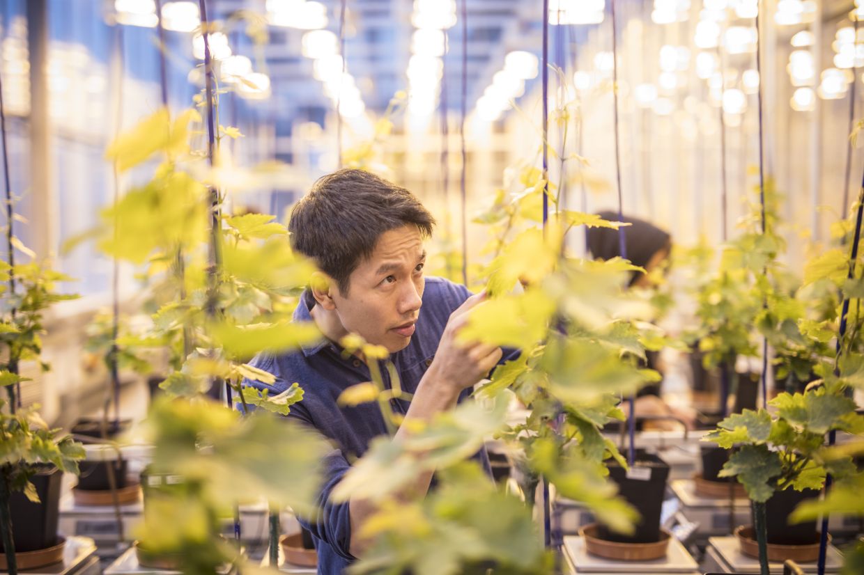 Studying at a UK university through the GREAT Scholarships results in more significant research prospects.