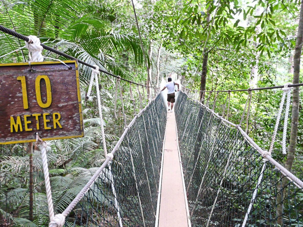 8 canopy walks in Malaysia that are perfect for any adventurous soul