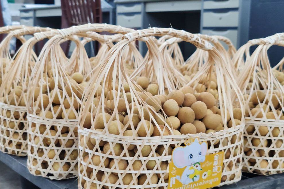 China's huge demand sees Cambodia's renowned longan exports surge before Lunar New Year - Vimarsana News