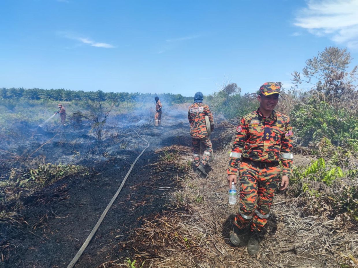 Brief rainfall helps firefighters put out Kuala Penyu forest fire The Star