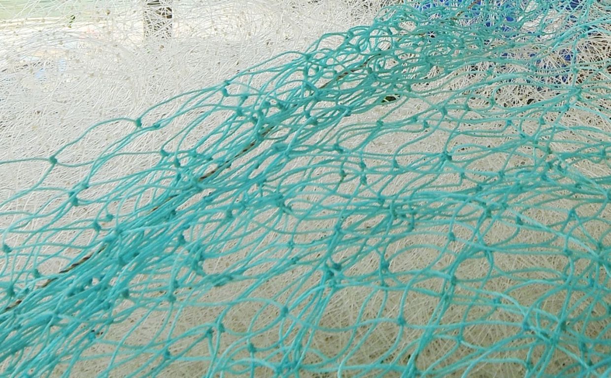 Elderly woman found dead entangled in own fishing net in Sabah - Vimarsana News