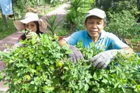 Public against Sungai Bunus retention pond degazettement