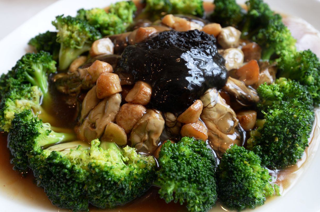 QuickCheck: Does the black moss called 'fatt choy' actually come from the Gobi Desert? - Vimarsana News