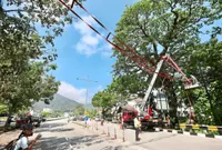 New bridge a lifesaver for langurs