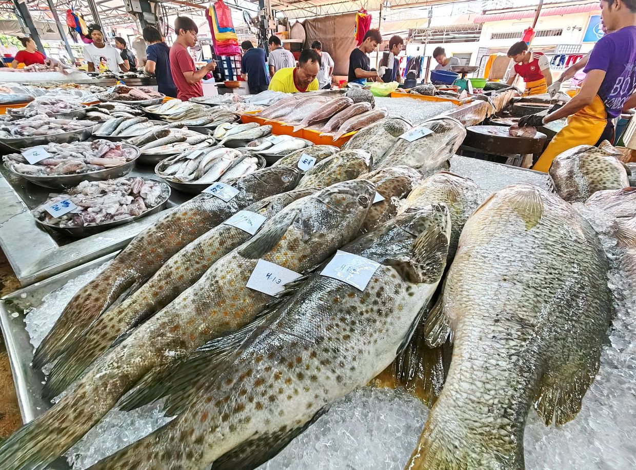 When grouper prices bite back The Star