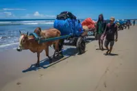 Asean News Headlines at 9pm on Sunday (Feb 11, 2024)