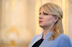 Slovakia's president to send criminal law reforms to Constitutional Court