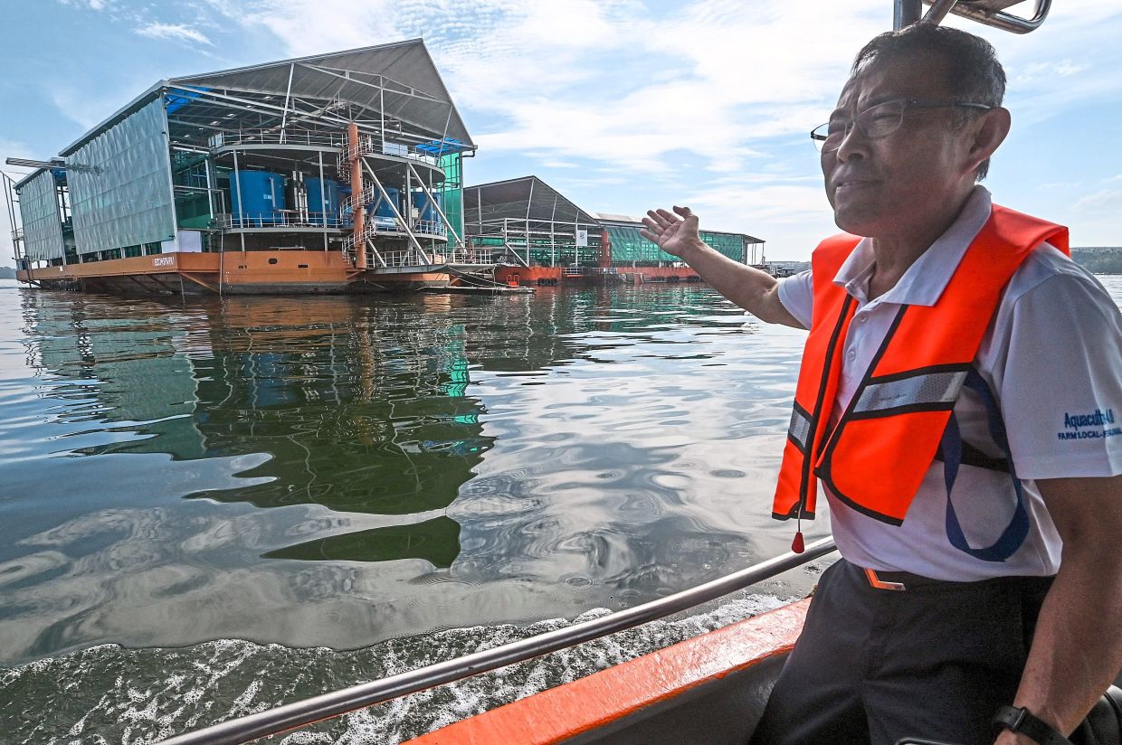 From oil rigs to fish farms - Vimarsana News