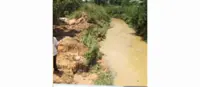 Pig farm causing pollution in Sungai Kulim, Sungai Air Merah ordered to shut down