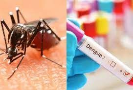 Rising issues as dengue fever cases hit 1,075 in Laos since January - Vimarsana News