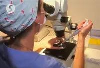 A reversal for a fortunate Year of the Dragon