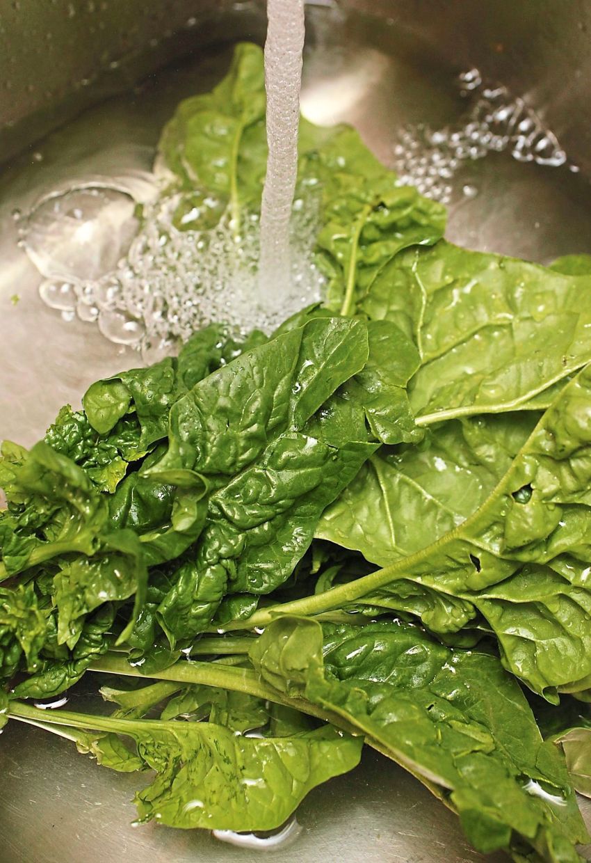 Thoroughly washing raw vegetables and fruits by immersing them in water and shaking off the excess is the best way to eliminate contaminates. — TNS
