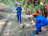 It’s a case of ‘hiss and tell’ in Sabah