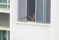 QuickCheck: Was a teen nabbed in KK for aiming a 'gun' from his condo window?