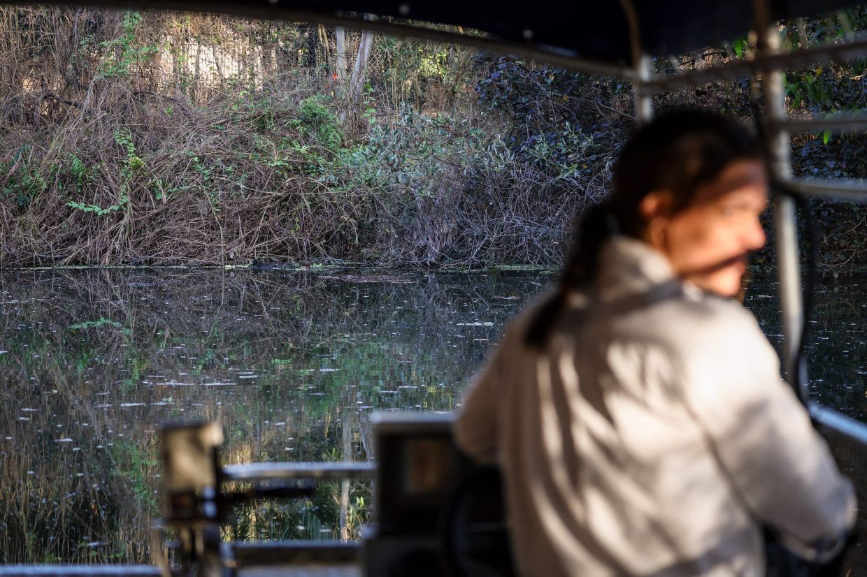 A worker at the Crocodylus Park looking for crocodiles as she drives a boat on a lagoon located on the outskirts of the Northern Territory town of Darwin.