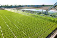 A career in padi farming awaits youths