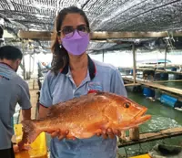 Chasing dreams to excel in science