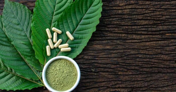 Illegal use of kratom persists in Laos amidst debate over legality against medicinal benefits - Vimarsana News