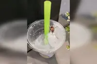 Woman horrified to find cockroach in Mr Bean drink