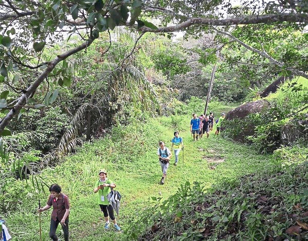 Hikers enjoying the forest landscape and serenity along the Heritage Trail. — Filepic