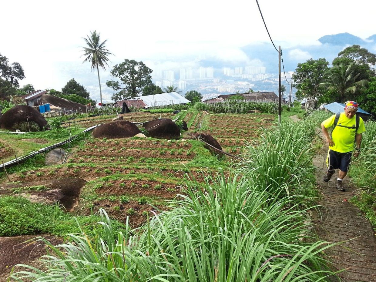 Tread lightly in walk on the wild side | The Star