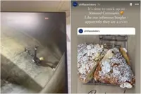 'Yoga burglar' seen stretching before alleged Australian bakery break-in