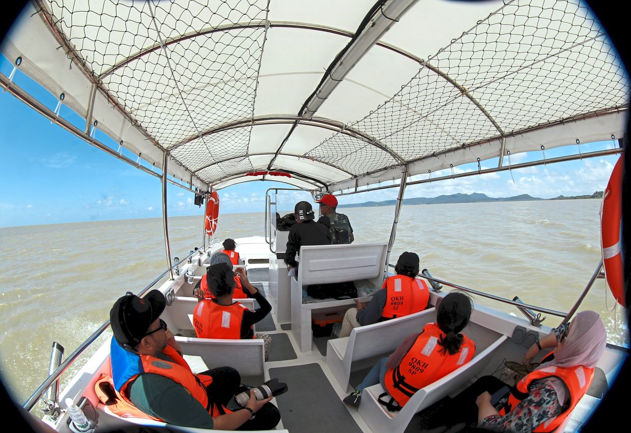 Go on a wetland cruise in Santubong to catch a glimpse of exotic wildlife such as crocodiles migratory birds and dolphins