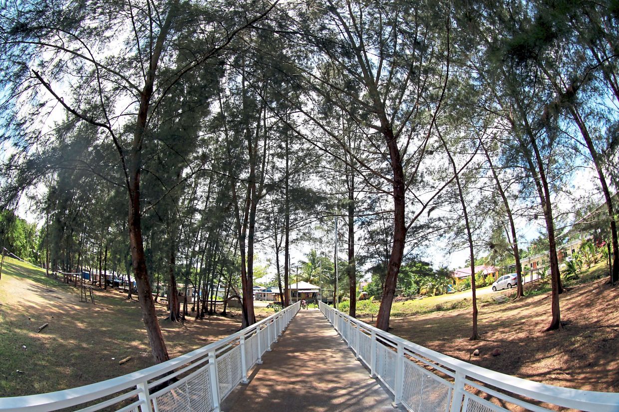 Buntal Esplanade is where enthusiastic birders can do some birdwatching
