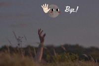 QuickCheck: Is the Moon moving away from the Earth?