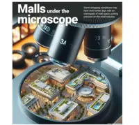 A case of one too many malls