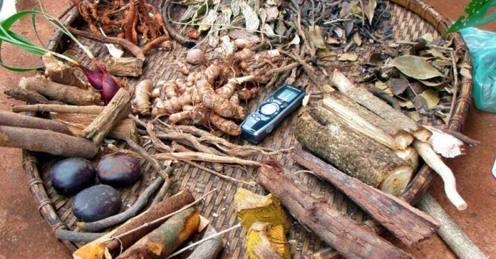Laos and China collaborate to advance traditional medicine usage - Vimarsana News