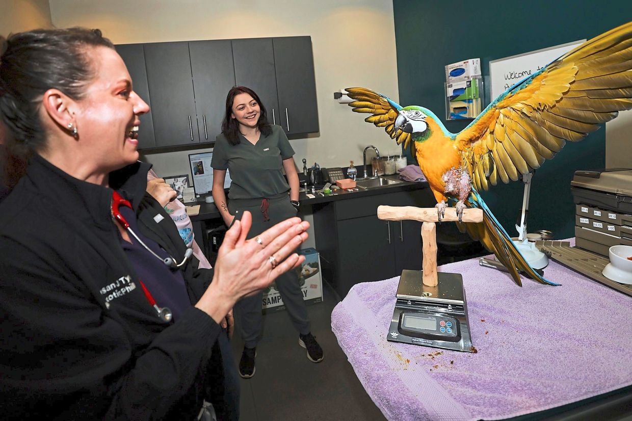 A friend of birds and exotic animals - Vimarsana News