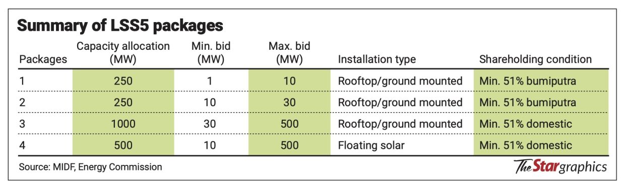 Large-scale solar scene abuzz with activity again | The Star
