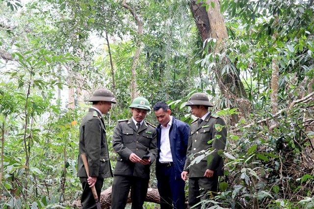 Preserving forests is priority in Vietnam province - Vimarsana News