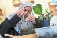 Teacher-turned-terrarium maker shares her skills