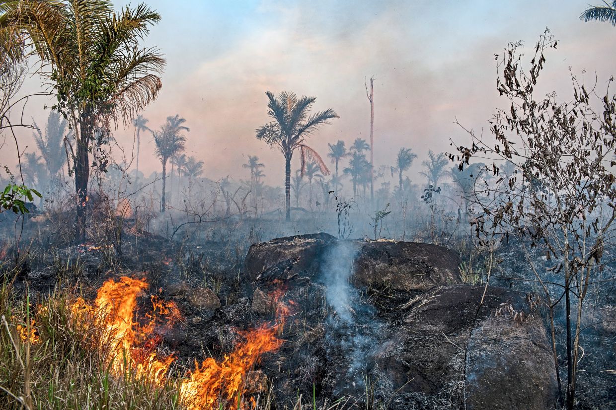 Is the Amazon at a tipping point? | The Star