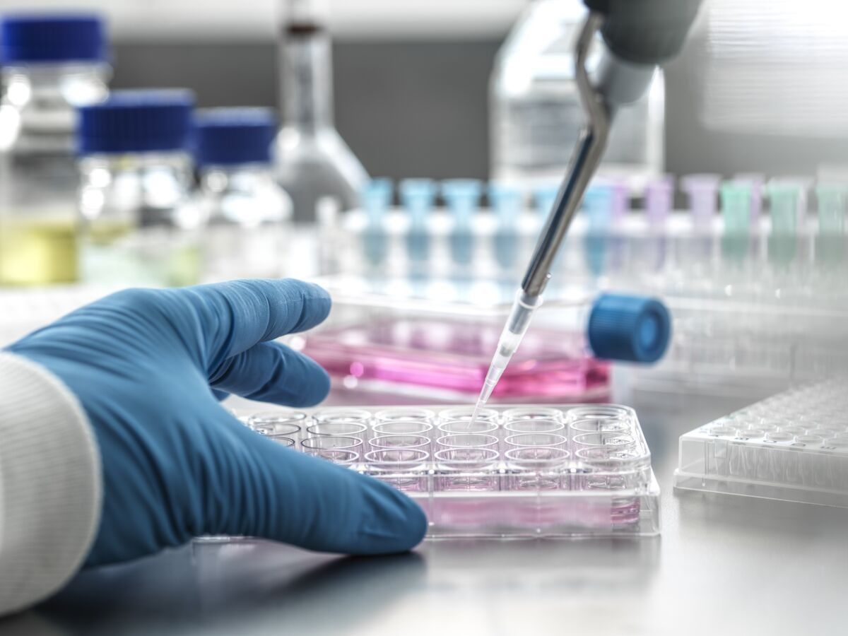 Cordlife scandal: Parental fury after stem cell bank ruins thousands of samples in Singapore - Vimarsana News