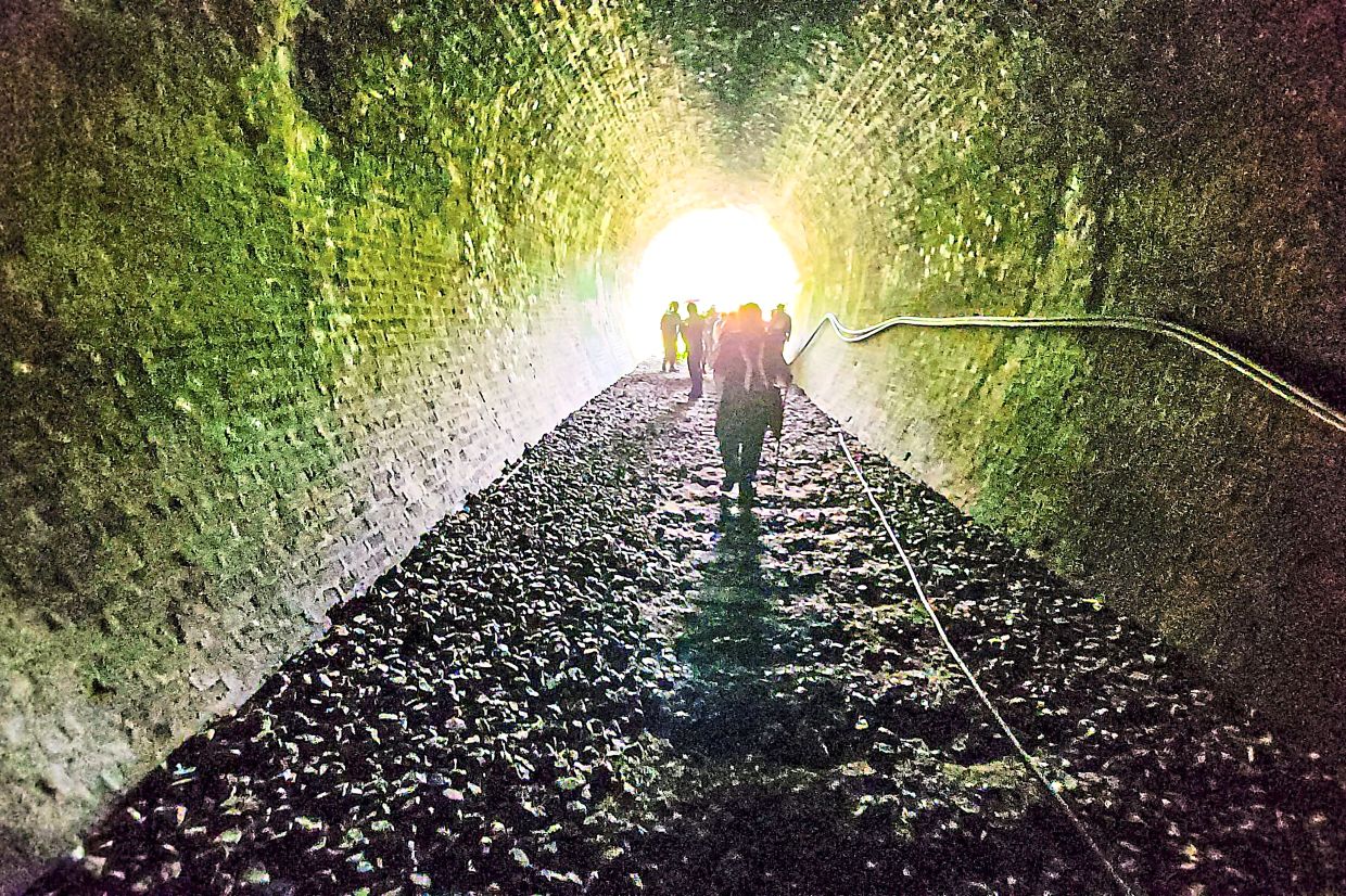 Over 100-year-old railway track between Penang and Ipoh is now a trekker's haven - Vimarsana News
