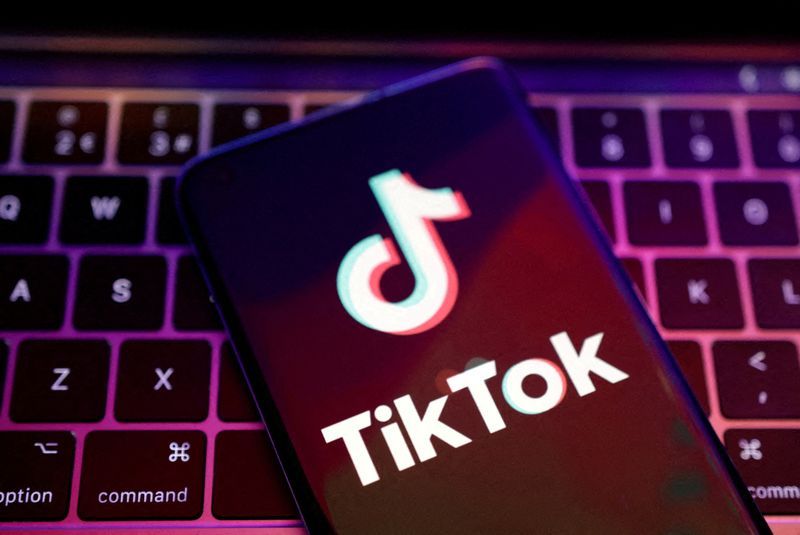 TikTok to suspend TikTok Lite's reward programme amid EU concerns - Vimarsana News