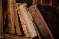 European police smash rare book theft ring