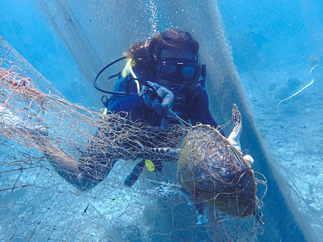 Call to intensify efforts to safeguard coral reefs - Vimarsana News