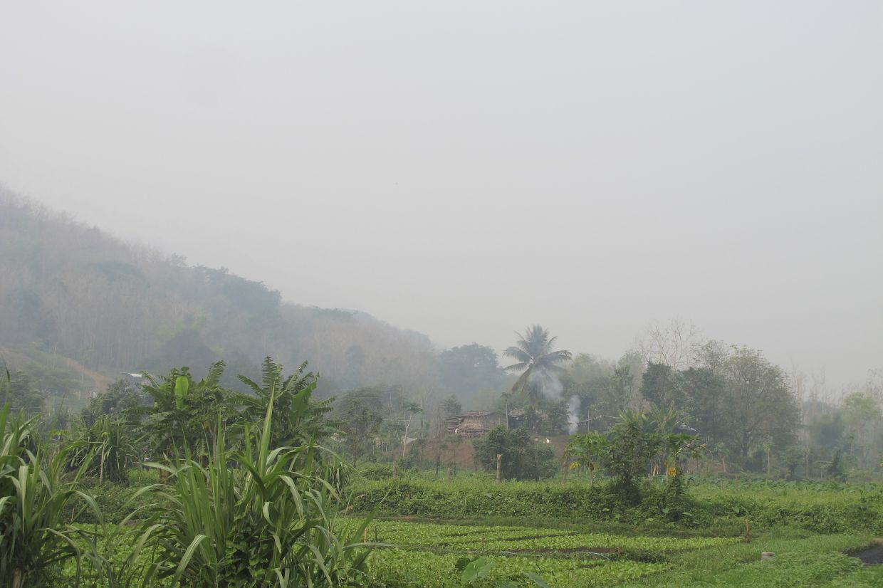 Smoke-filled skies become growing concern in Laos - Vimarsana News
