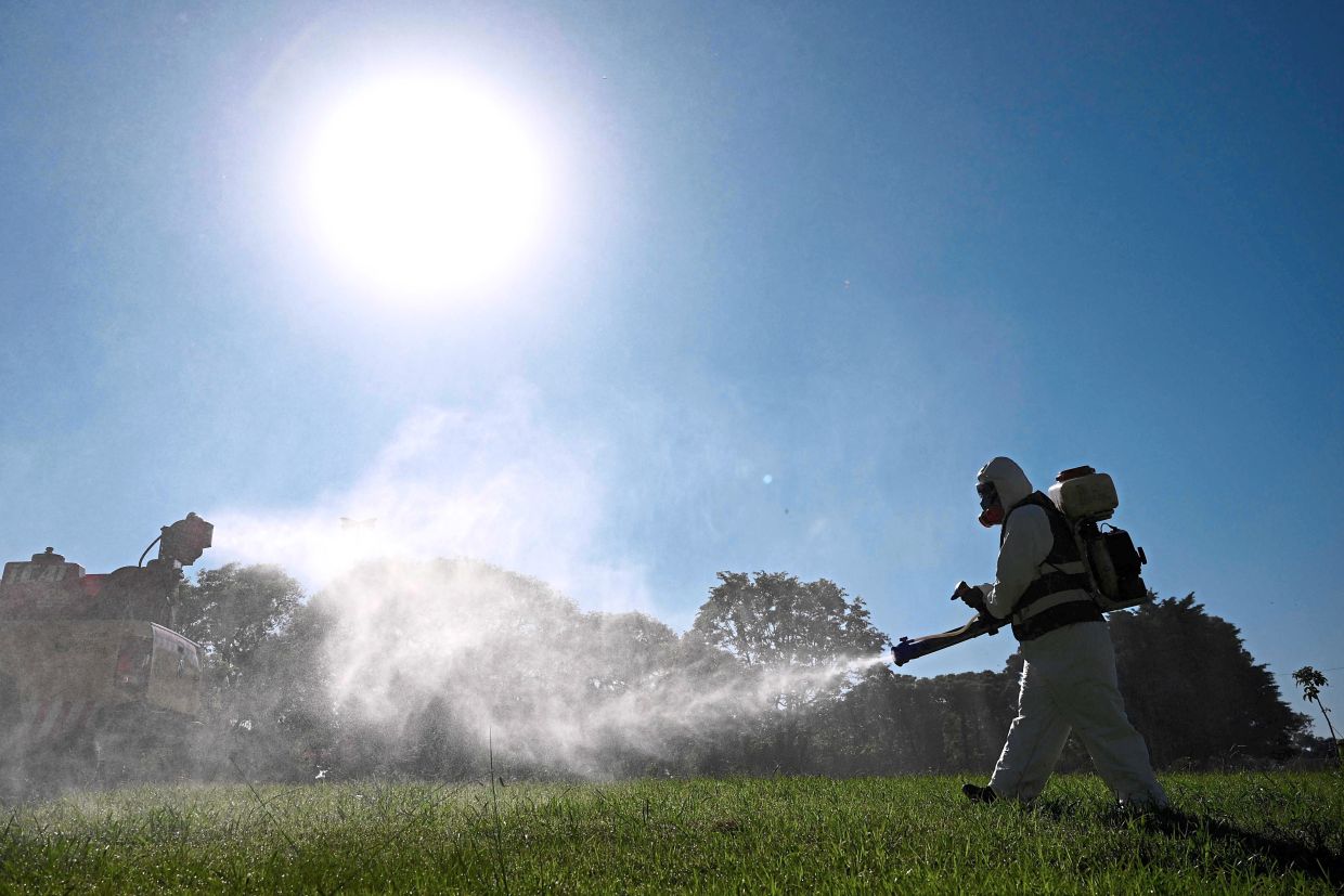 Health DG: Slight dip in dengue cases - Vimarsana News