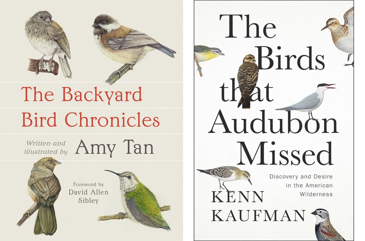 This combination of cover images shows Tan's 'The Backyard Bird Chronicles', left, and Kaufman's 'The Birds That Audubon Missed: Discovery And Desire In The American Wilderness'. Photo: AP 