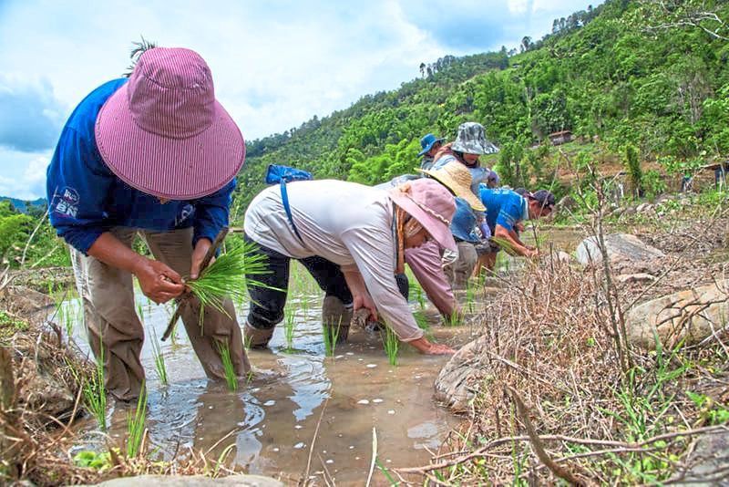 Villagers gathering to help one another during padi planting as they have a schedule to meet.