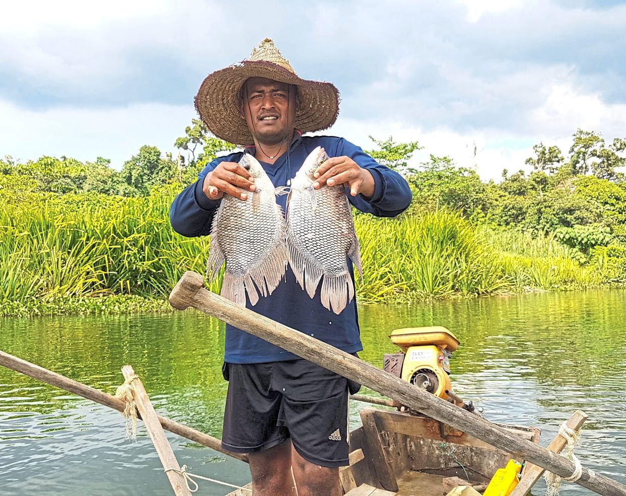 A fisherman in Chenderoh Lake with two good-sized kalui (giant gourami).